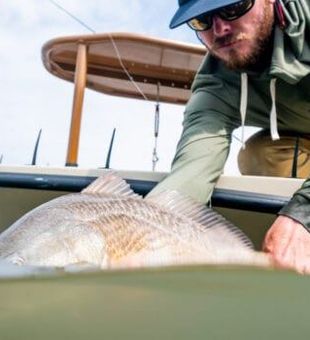 Redfish Sight Casting in Texas 2022